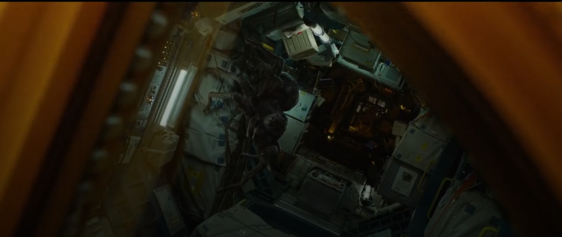 Screenshoot1